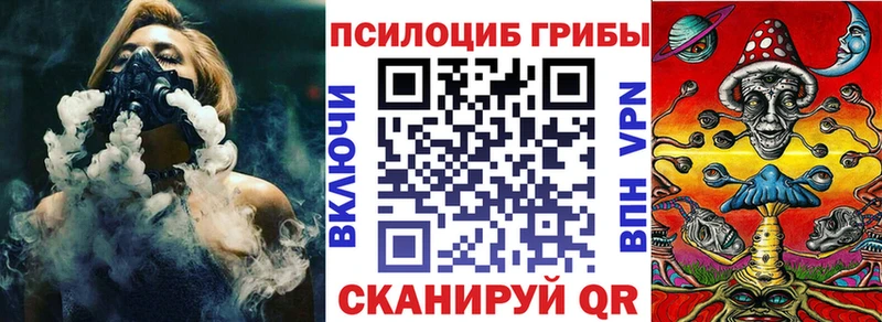 Псилоцибиновые грибы Cubensis darknet какой сайт Петров Вал